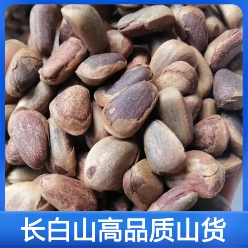 长白山野生红松子