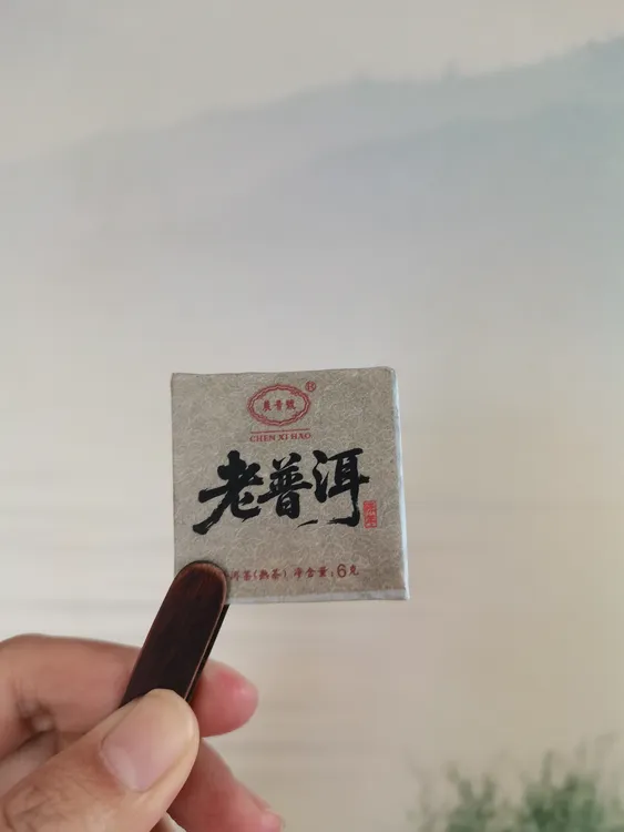 6克老普洱小方块，10年熟普醇厚饱满，樟木香气带甜。