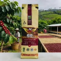 【2026/4/15到期】莫雷利亚卡杜拉臻研咖啡豆500g