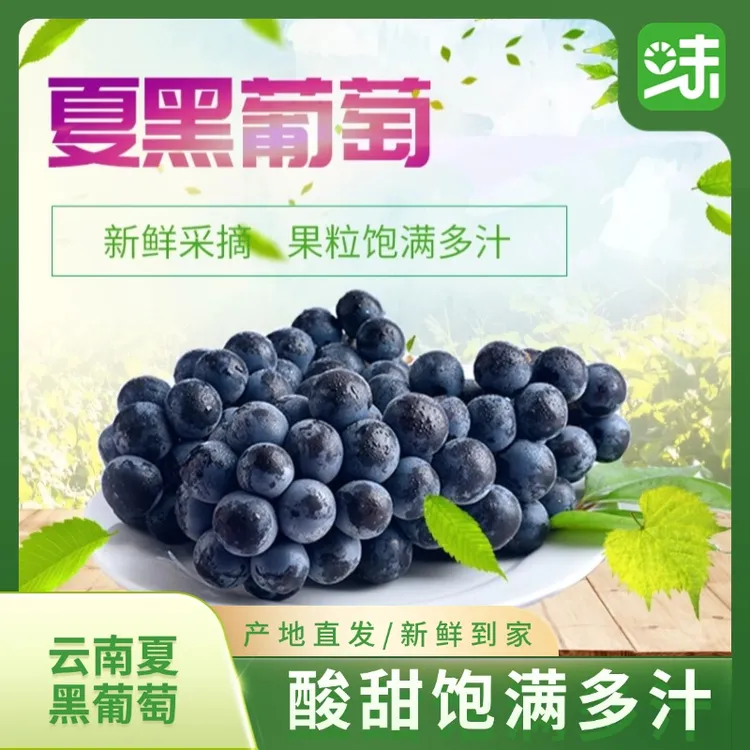 【顺丰包邮】云南夏黑葡萄脆甜多汁无籽当季新鲜水果果园现摘直发