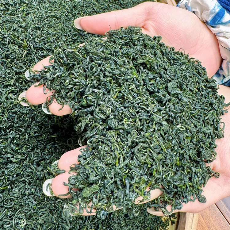 印象堂2025新茶福建正宗云雾绿茶高山手工制作浓香型耐泡茶叶袋装