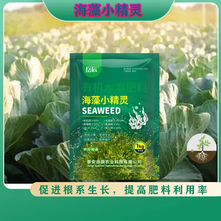 海藻酸生根肥小苗生根