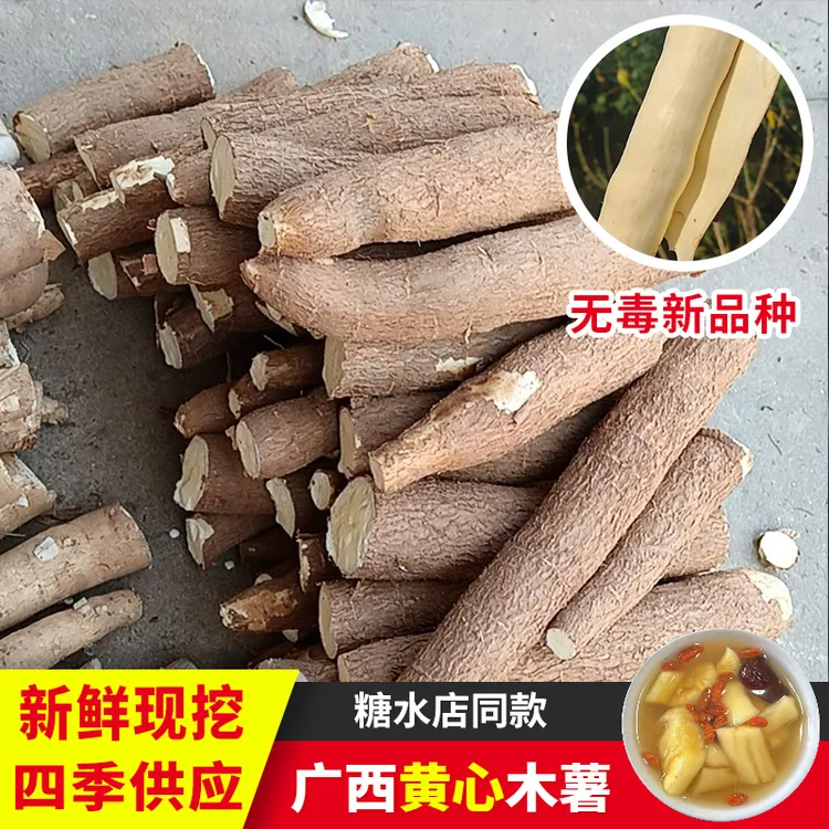 广西特产农家新鲜现挖黄心黄肉木薯粉糯香甜可做糖水木暑5斤装