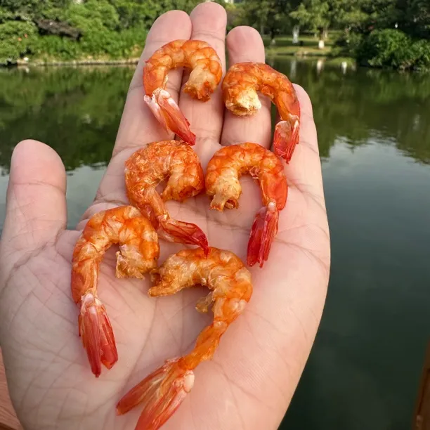 虾仁精选大个头海虾米新鲜海虾干100%纯虾仁肉金沟海米碳烤虾干