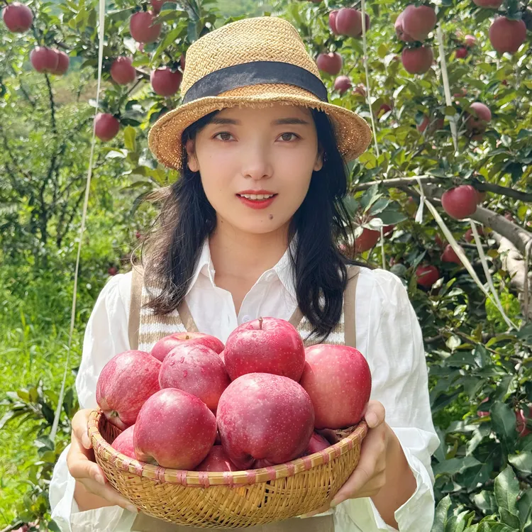 天水花牛苹果 2025 新果下市甘肃天水本地人自家果园苹果顺丰包邮