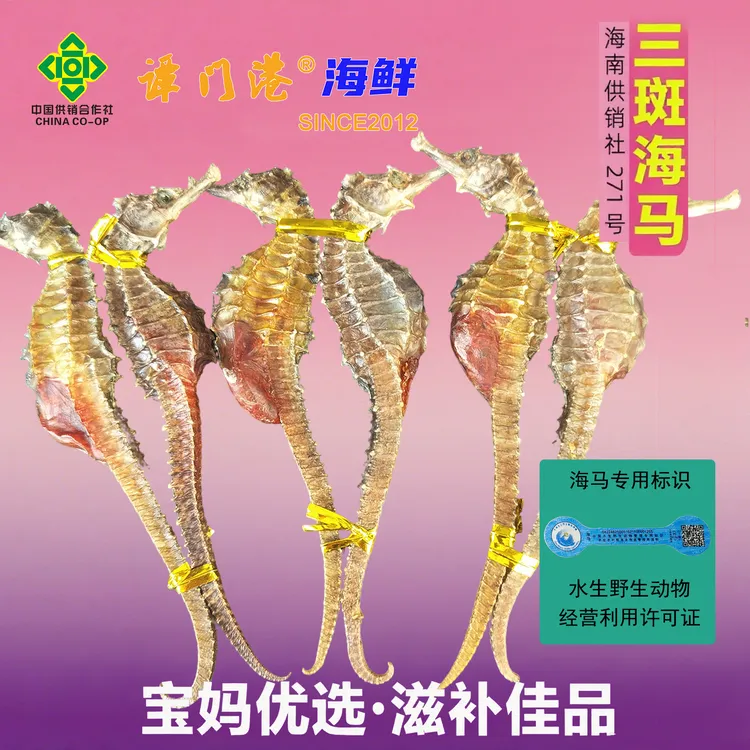 大三斑海马配对干货1对泡酒料男性滋补煲汤2只公母一对雌雄海龙