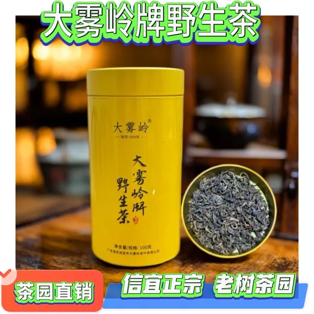 信宜特产大雾岭野生绿茶独立包装高山野茶新茶崖茶手工采摘包邮