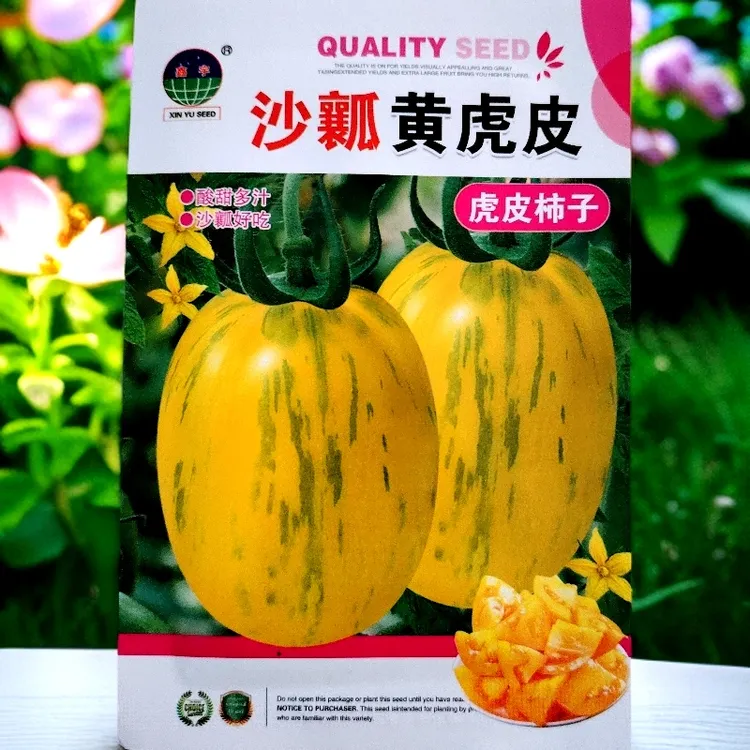 沙瓤黄虎皮柿子籽300粒左右