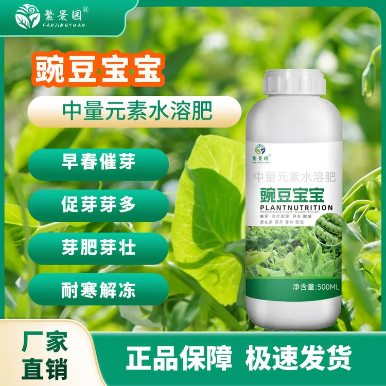 豌豆宝宝豌豆芽尖嫩粗壮豌豆专用催芽壮苗抗寒