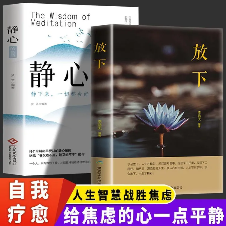 新版 静心的智慧战胜焦虑抑郁的心理策略做自己的心理医生书籍