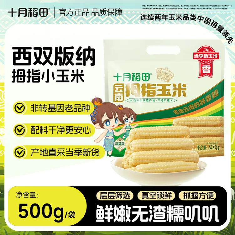 【西双版纳直采】十月稻田云南拇指玉米白糯鲜嫩当季新玉米蔬菜粗粮