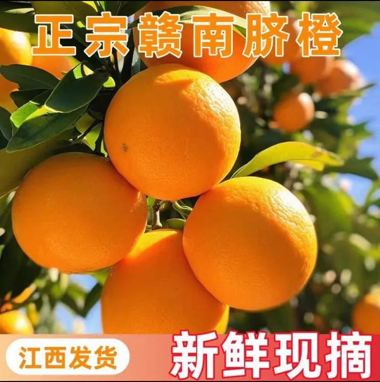 【假一赔十】正宗江西赣南信丰脐橙新鲜采摘当季水果橙子原产地直发