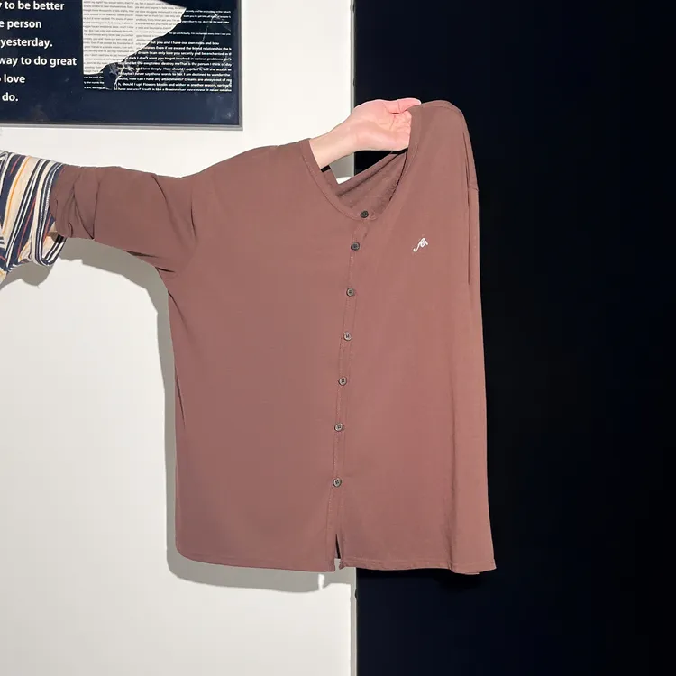 纯色小众刺绣长袖罩衫女秋季超火薄款单排扣圆领衬衫开衫女装上衣