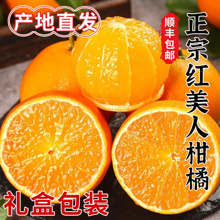 顺丰包邮#福建红美人柑橘#正宗原苗种植源头发货（新藏蒙黑吉限售）