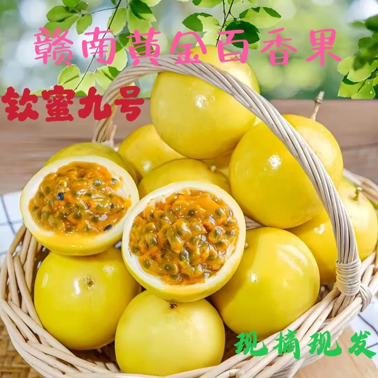 江西赣南钦蜜9号百香果黄金百香果新鲜现摘当季水果鲜甜饱满多汁