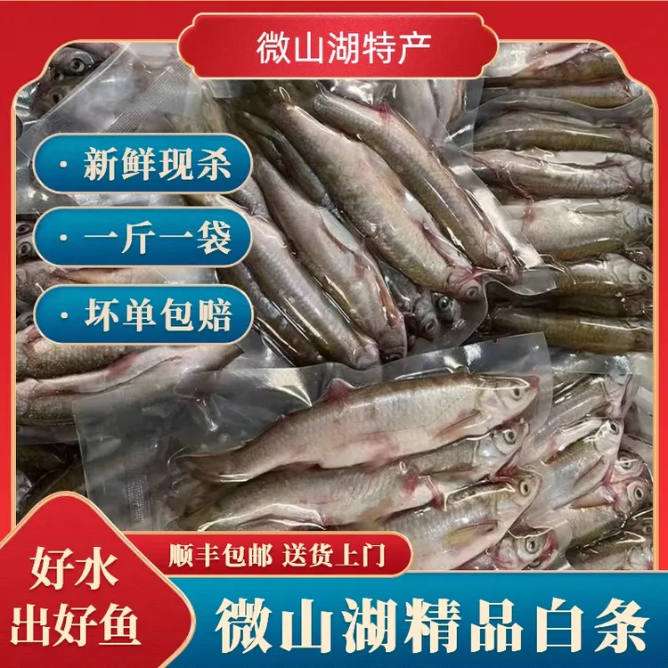顺丰微山湖新鲜现杀小白条鱼餐条鱼刁子鱼淡水河鱼翘嘴鱼现杀