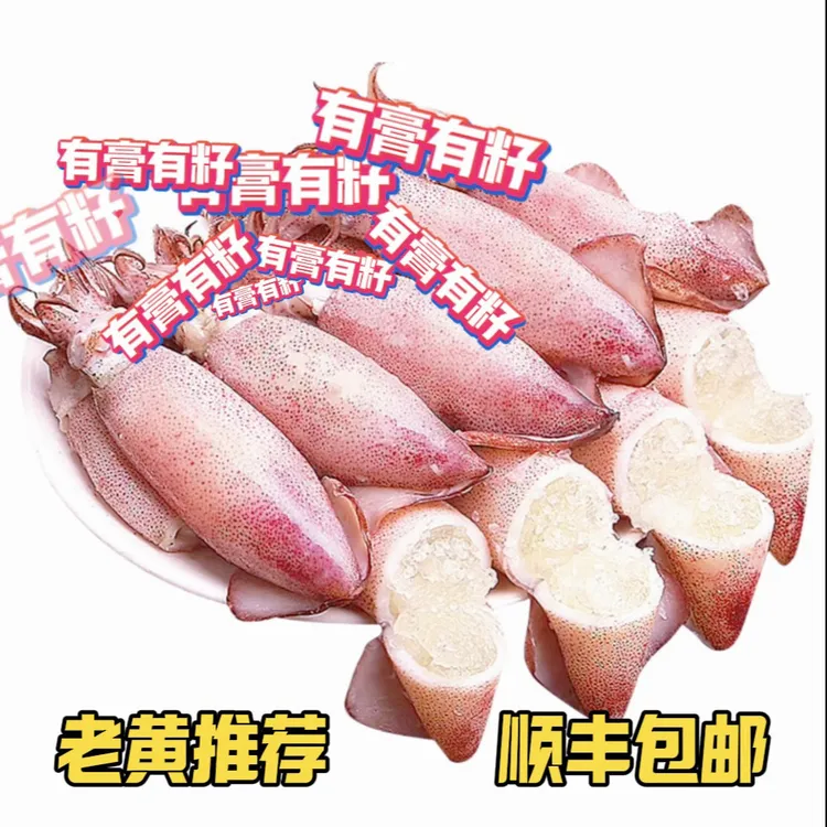 广东湛江活冻有籽鱿鱼美味水产