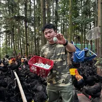 【湖南省首届村播大赛专属】[买30枚送5枚]新鲜绿壳土鸡蛋到手35枚