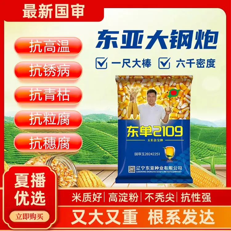 国审玉-东亚大钢炮东单2109玉米种子