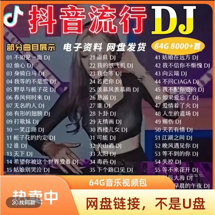 网盘下载车载音乐包 共64G资源包 8000+首音乐和200+部视频mv歌曲