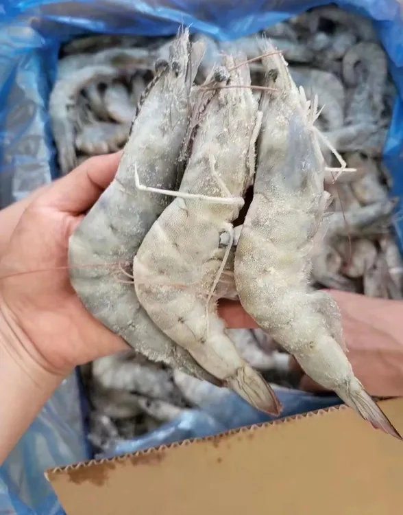 （一品鲜海鲜）只发新疆3040皇冠南美白对虾无冰，新鲜海虾，个大3KG