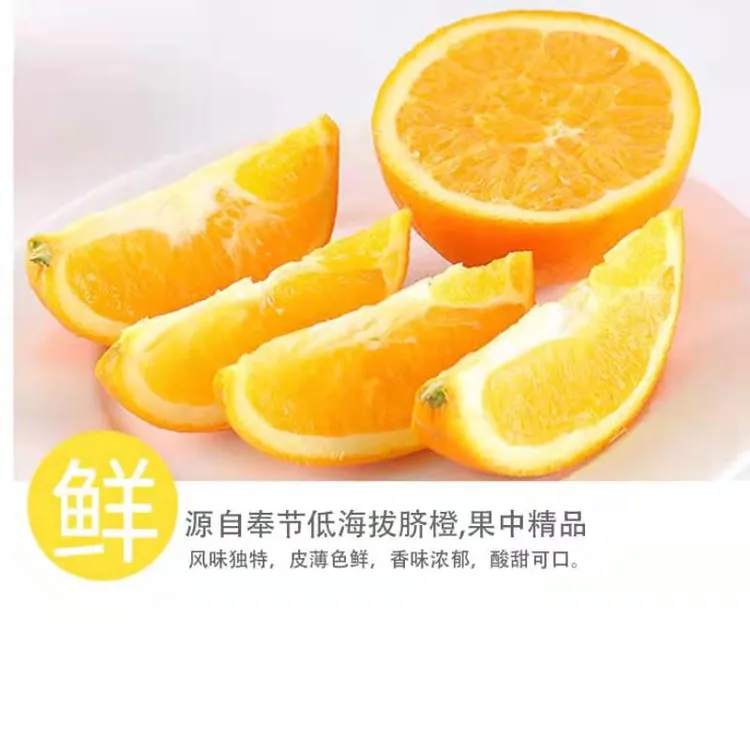 正宗奉节纽荷尔新鲜带叶椭圆形橙子