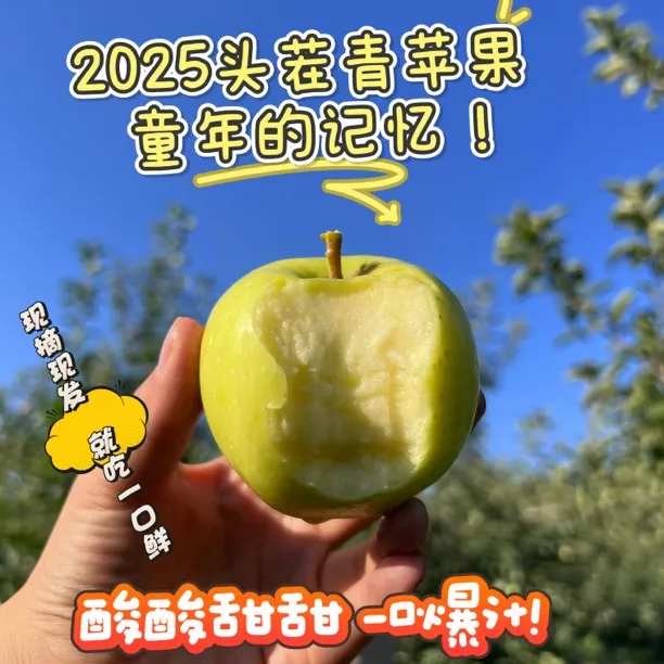 2025头茬现摘新鲜黄元帅［青苹果］当季应季水果酸甜脆爽多汁