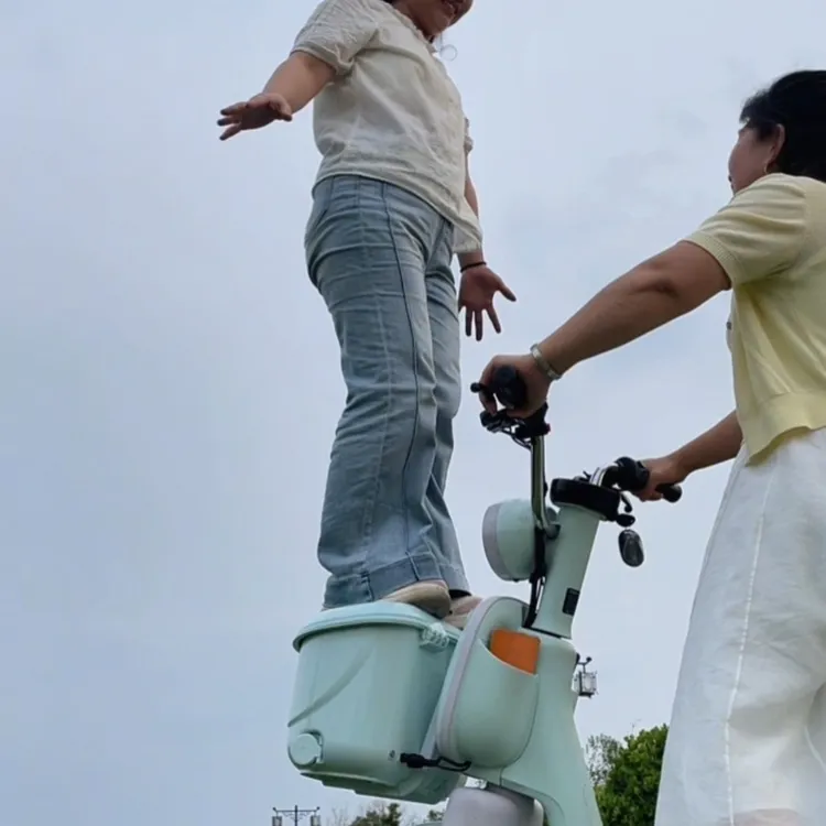 科戴亚电动车通用高端车筐车篮前置物箱尾箱防水防盗