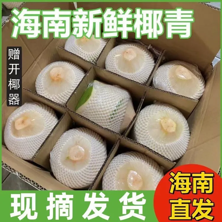 海南新鲜椰青椰子精选大果9个装（送开椰器和吸管）生鲜孕妇水果