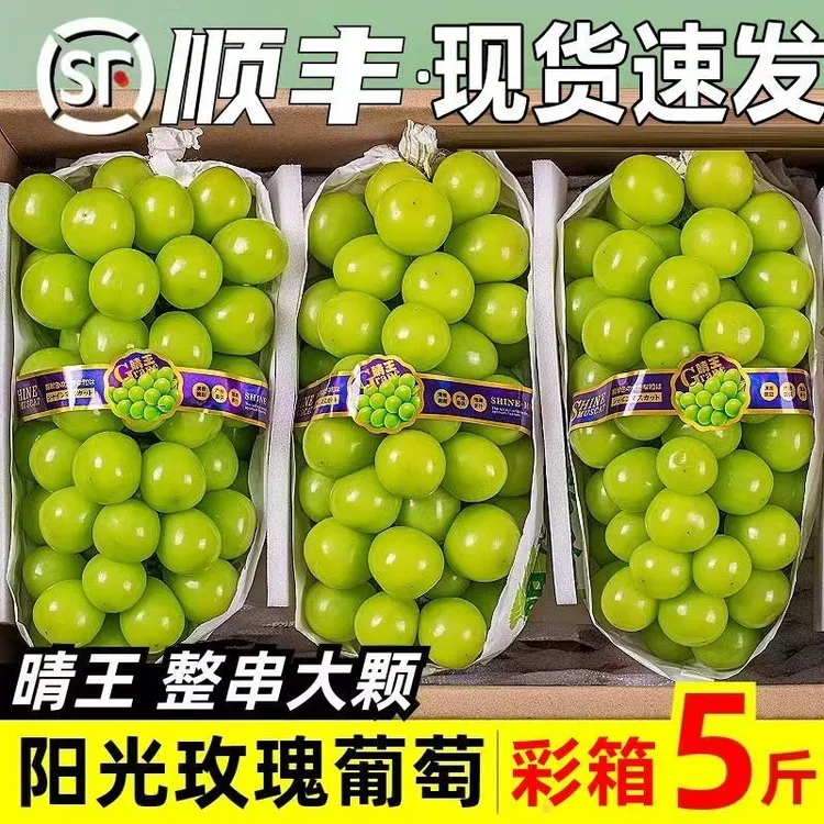 【顺丰发货】正宗凉山阳光玫瑰葡萄当季新鲜水果非青提孕妇整箱包邮