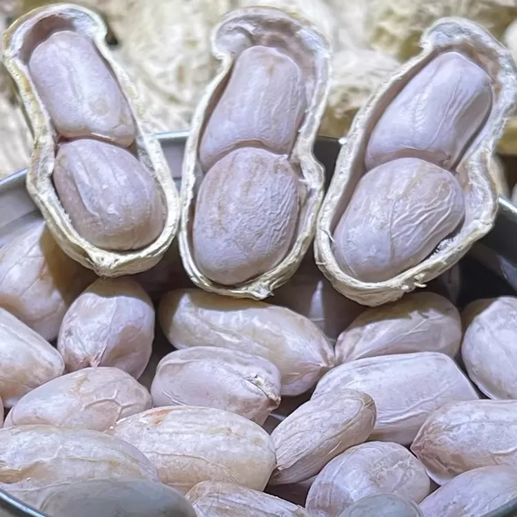 原味咸干花生水煮花生