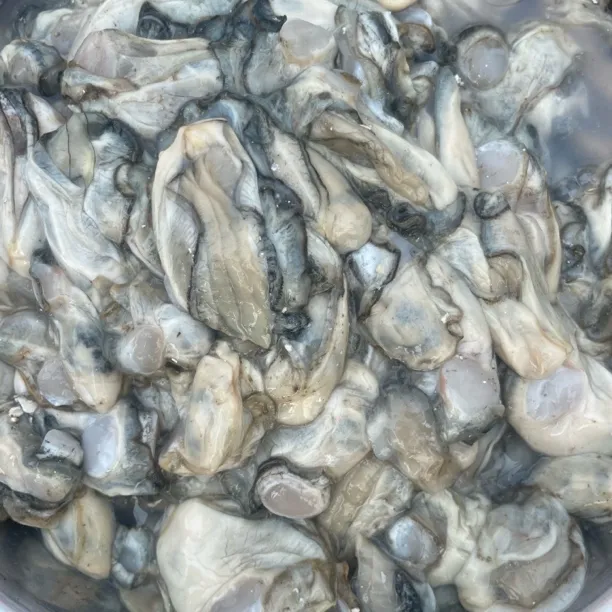 原浆海蛎子生蚝海鲜水产品一袋一斤