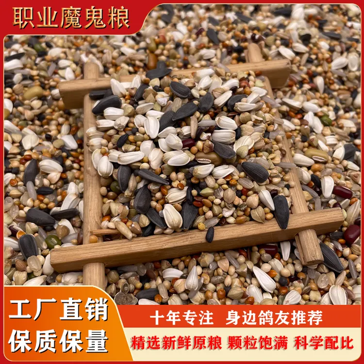 山东金冠鸽粮职业魔鬼小颗粒训放归巢粮信鸽赛鸽鸟类大包装48斤装