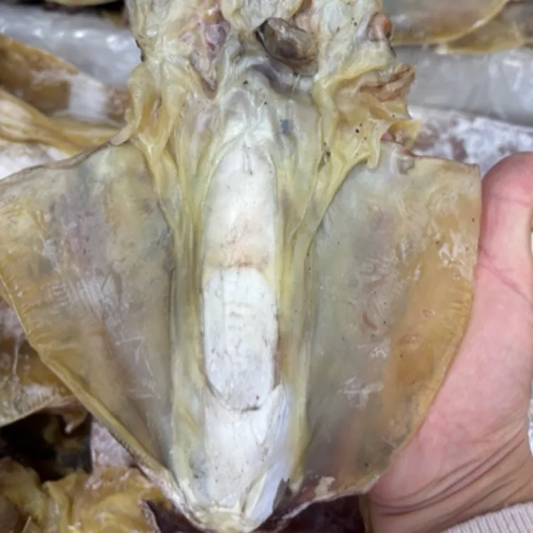 2025新货精品纯淡干目鱼 煲汤卤猪脚 等等