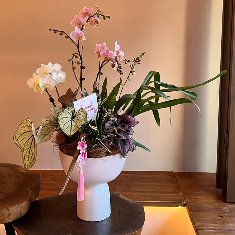 特大号蝴蝶兰大惠兰垂丝茉莉陶瓷花盆现代室内带脚设计家居花器