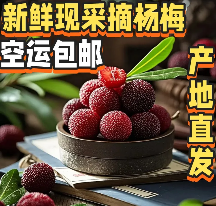 【空运包邮】新鲜现摘大果杨梅农家种植水果福建漳州时令当季孕妇喜