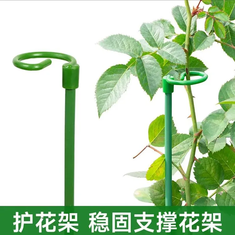 【固花20支装】西红柿辣椒固定杆爬藤吊兰园艺花架植物防倒伏支撑杆商品图