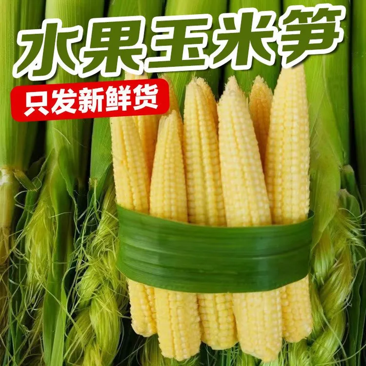 新鲜脆甜带皮迷你水果小玉米笋现摘香甜嫩玉米笋玉米芯