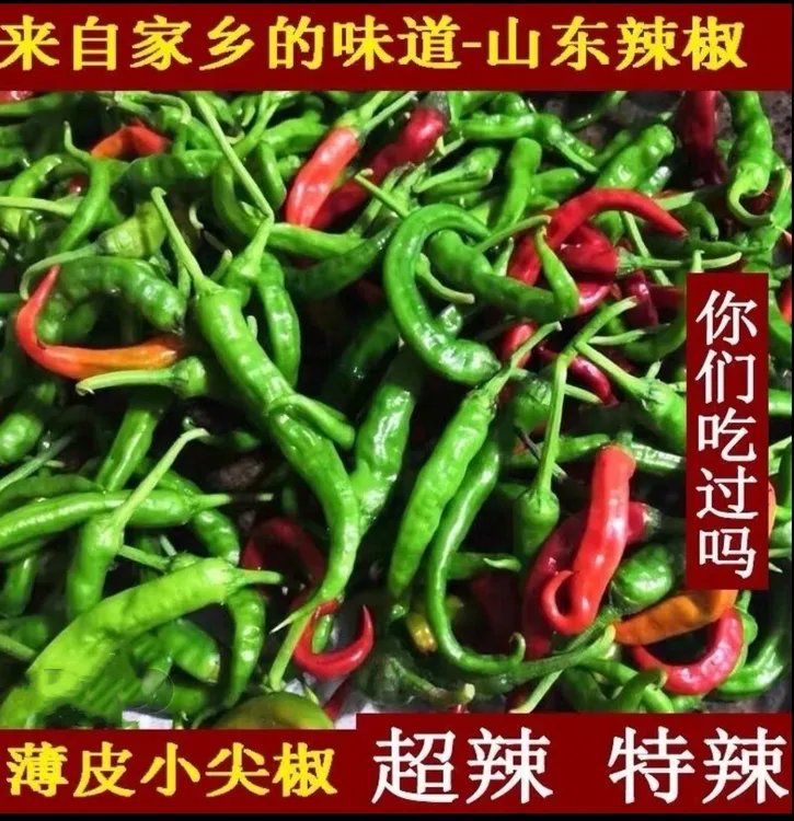 新鲜薄皮辣椒苍山长城农家自种现摘现发香辣（鲜辣椒请及时取件）
