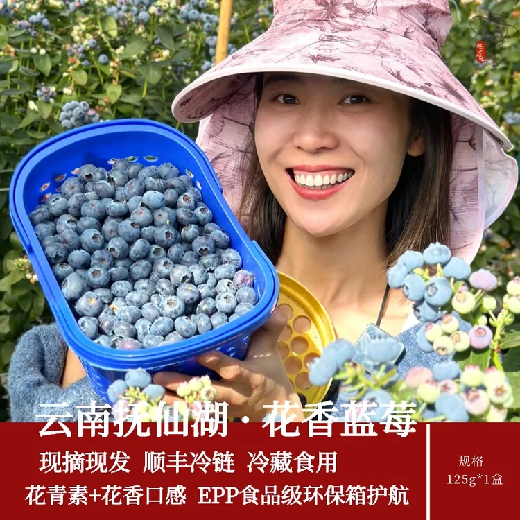 云南花香蓝莓【高原生态】 25号新鲜采摘脆香甜顺丰空运