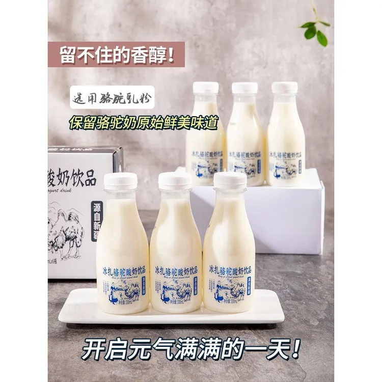 冰扎骆驼酸奶饮品330ml/瓶孕妇儿童营养早餐奶无添加防腐剂饮料箱