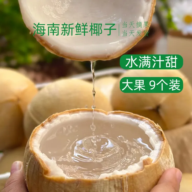 【9个/箱】海南特产正宗椰皇现摘现发椰青新鲜椰子奶香浓郁孕妇水果