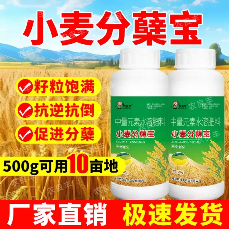 小麦专用叶面肥促分蘖抗倒伏生根壮苗灌浆饱满增产高产