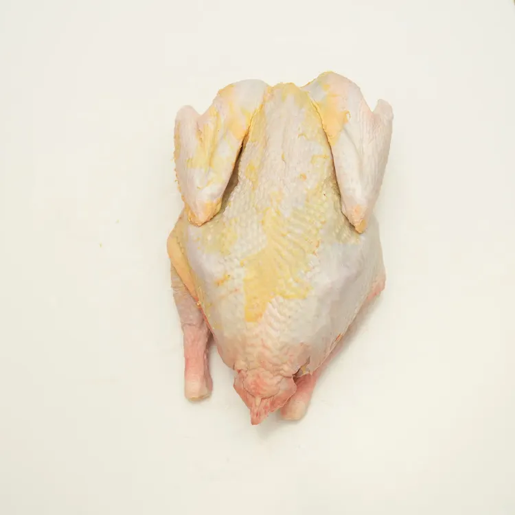 十里杨场甄选好礼--谷物散养 “仙居三黄鸡” 锁鲜冷藏版 顺丰冷链