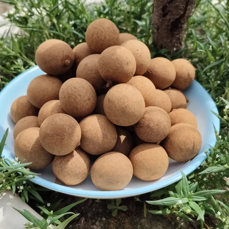 福建莆田华亭特产桂圆干肉厚香甜壳薄新货可泡水煮粥即食礼盒装