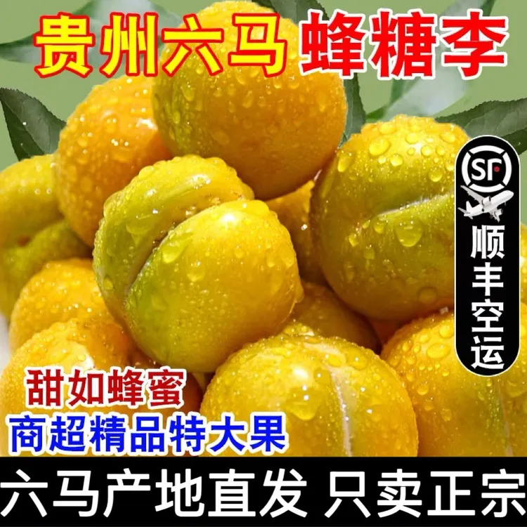 正宗贵州六马蜂糖李新鲜应季水果脱骨多汁顺丰包邮礼盒装