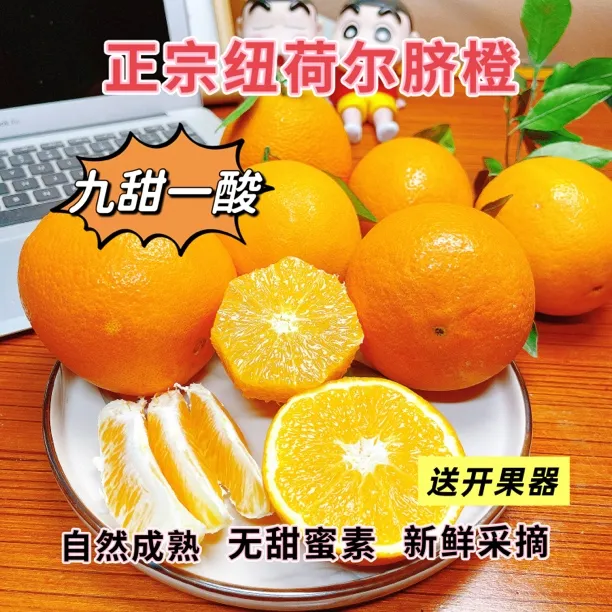 宜昌纽荷尔脐橙中大果橙子新鲜水果产地发货脐橙批发