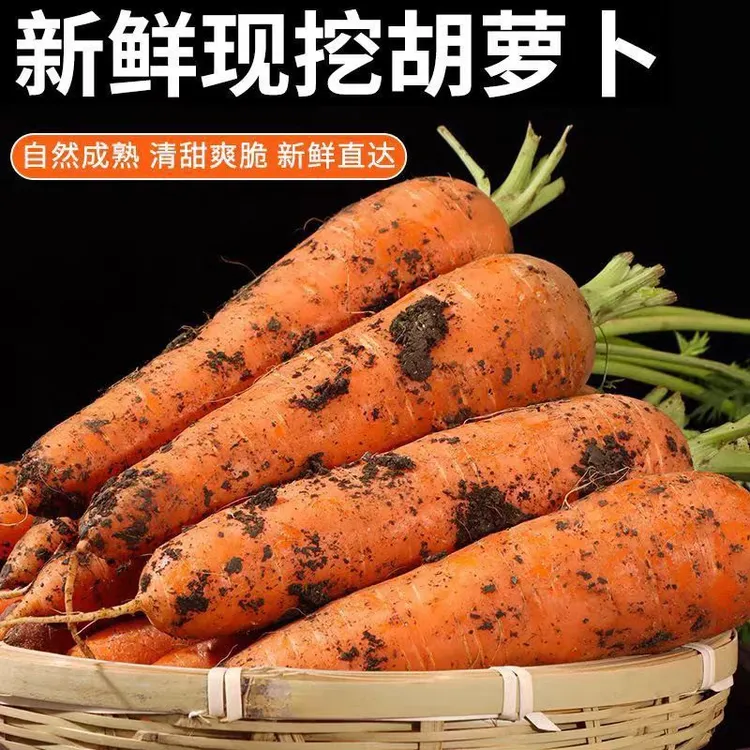 胡萝卜农家自种不打农药新鲜蔬菜