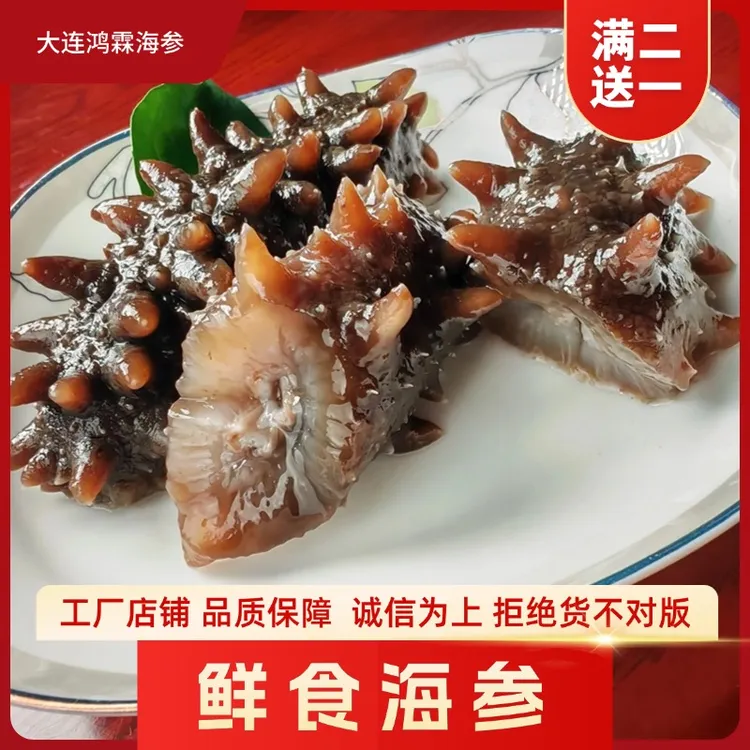 7-10头大连海参工厂 500g 鲜食海参 源头发货