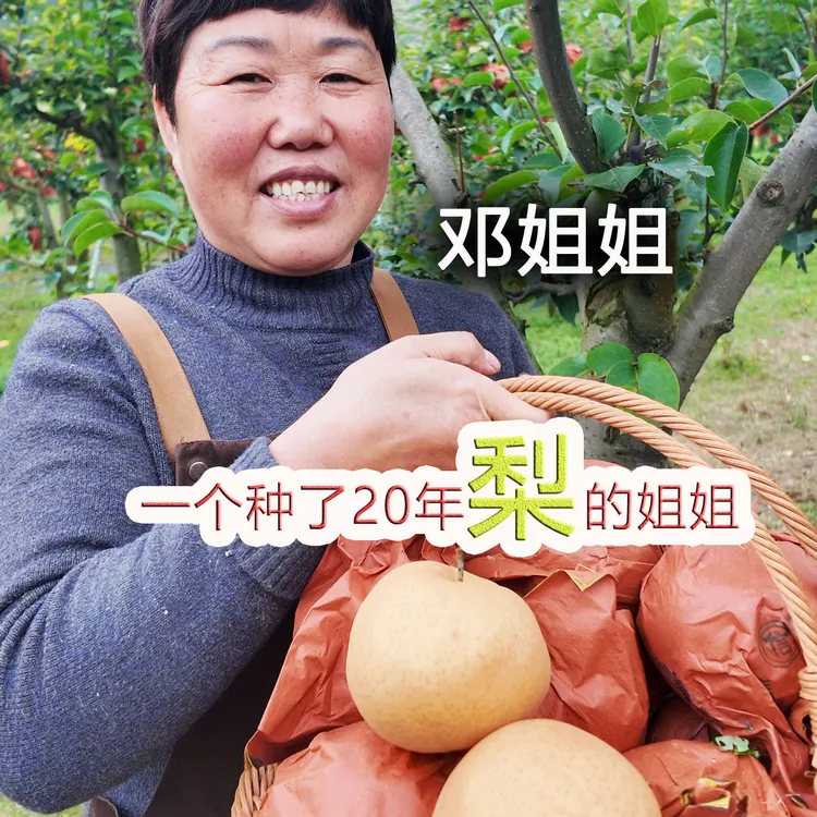 贵州大山邓姐家百年老品种糯皮丑黄梨自然生长味正皮薄鲜摘现发